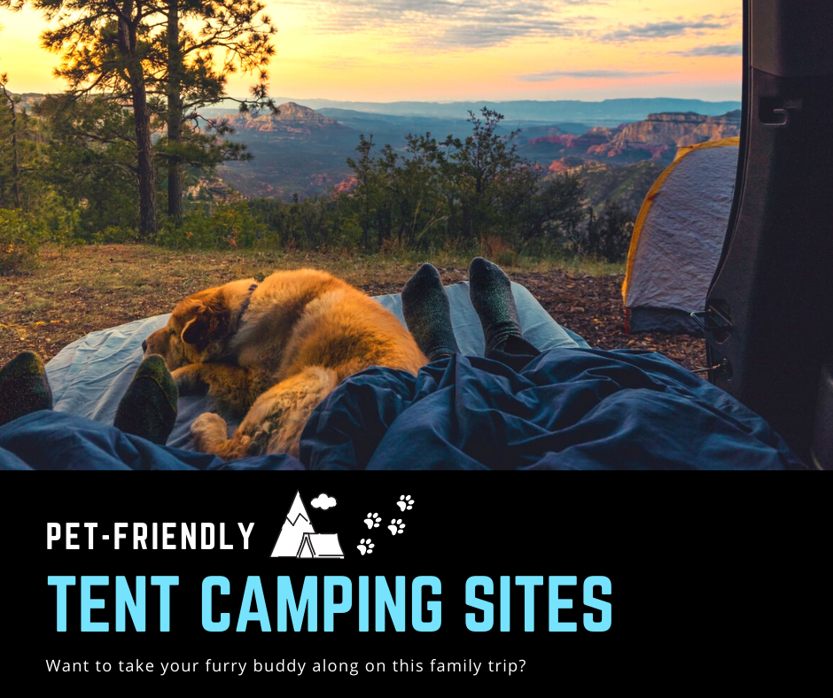 Pet-Friendly Camping Tips