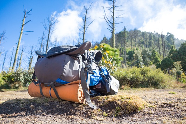 wilderness backpacking trips