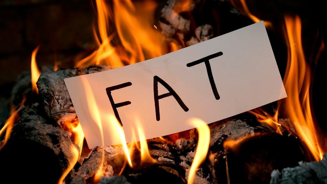 fat-burning furnace diet