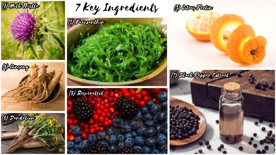 7 Key Ingredients: The Efficacy Of Ikaria Lean Belly Juice