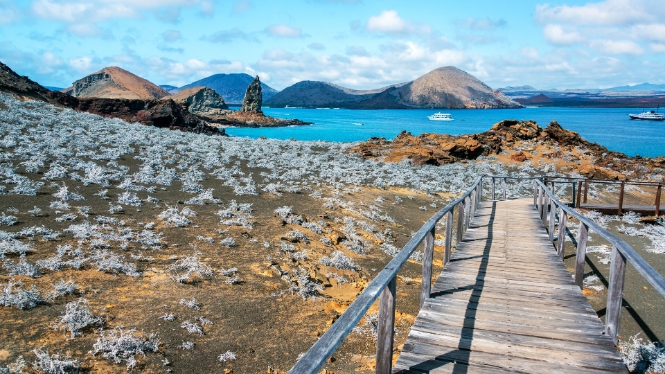 Galapagos Islands, Ecuador