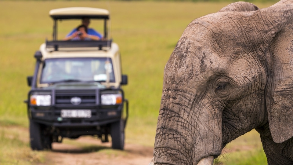 Masai Mara, Kenya