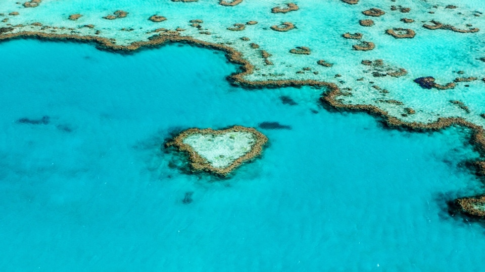 The Great Barrier Reef, Queensland Coast