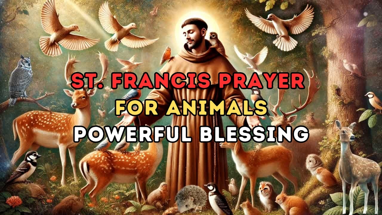 St. Francis Prayer for Animals